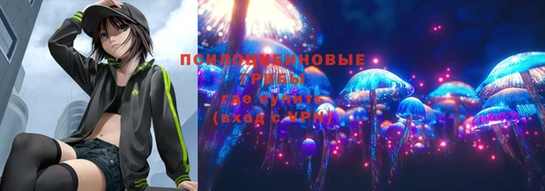 спайс Горнозаводск