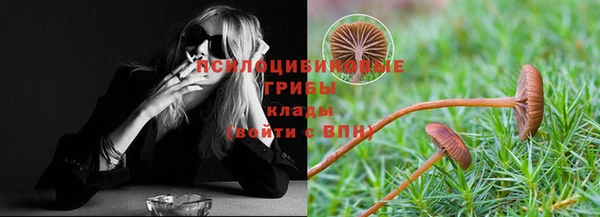 гашик Волосово
