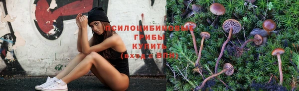 спайс Горнозаводск