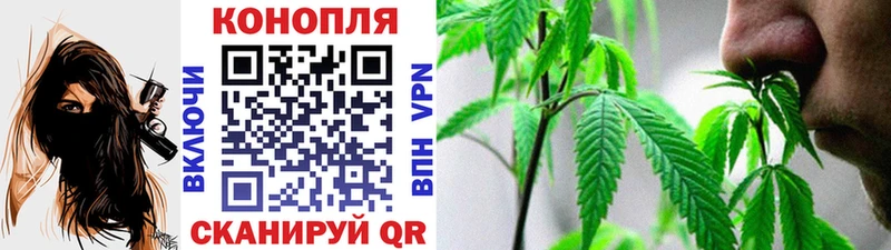 kraken ссылки  Иваново  Шишки марихуана SATIVA & INDICA 